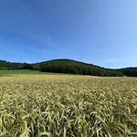 Bergart