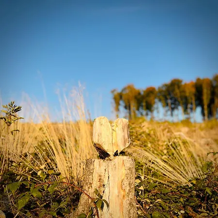 Bergart *