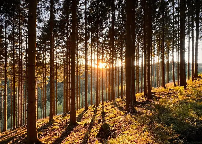 Bergart * 埃斯洛黑